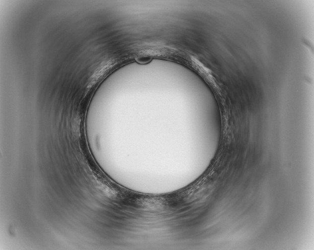 X0000098110106200804181503