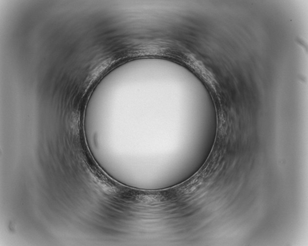 X0000098110107200804181503