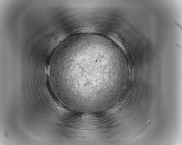 X0000098110109200804181503