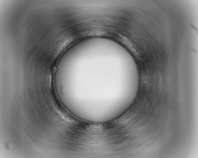 X0000098110110200804181503