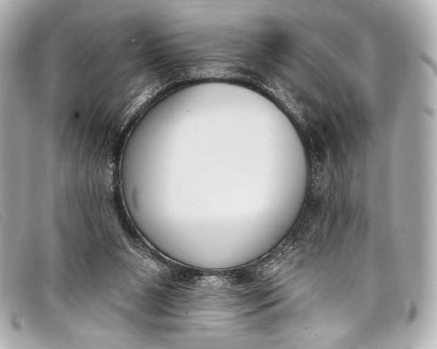 X0000098110111200804181503