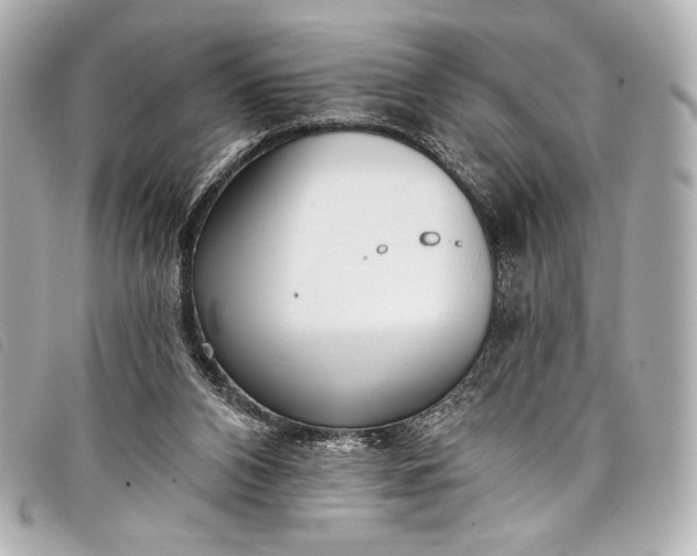 X0000098110112200804181503