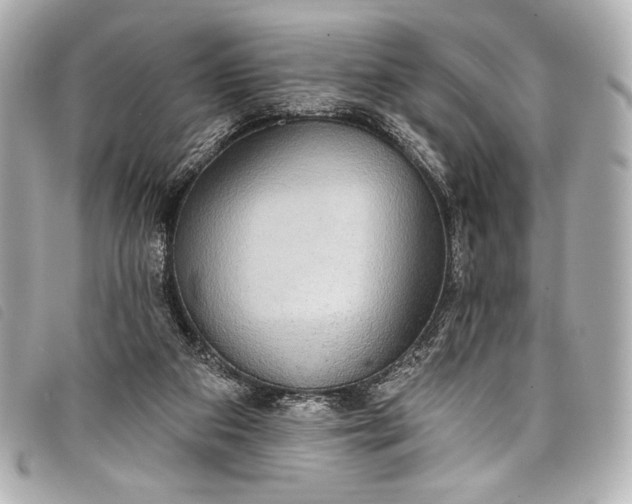 X0000098110113200804181503