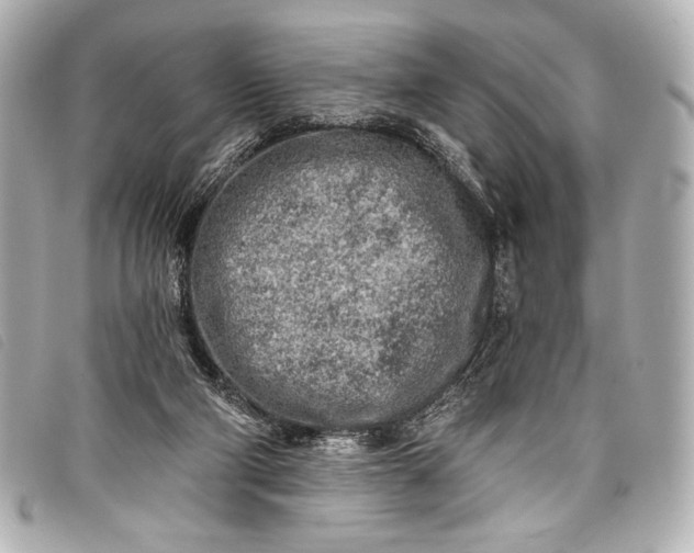 X0000098110114200804181503