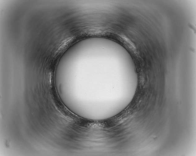 X0000098110115200804181503