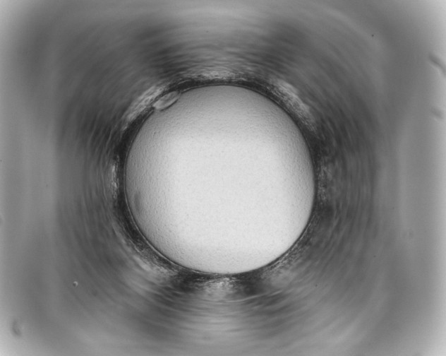 X0000098110116200804181503