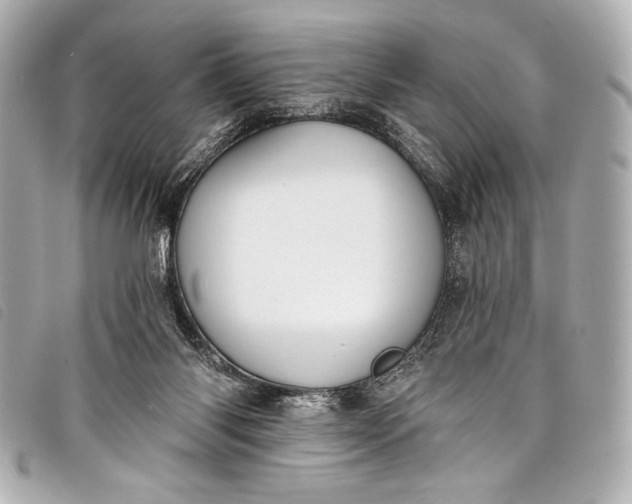 X0000098110118200804181503