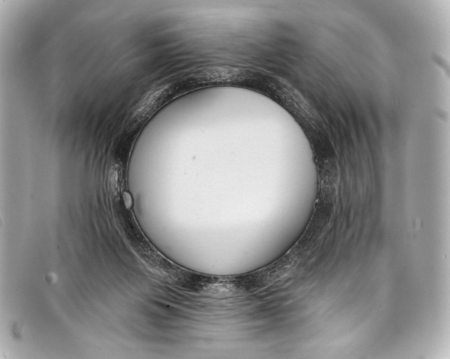 X0000098110119200804181503