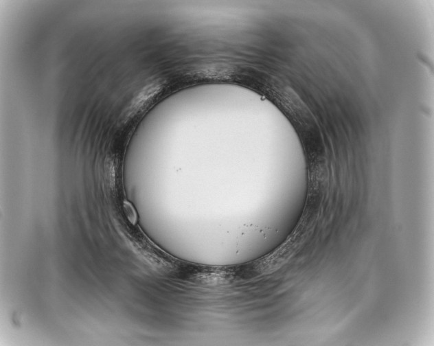 X0000098110120200804181503