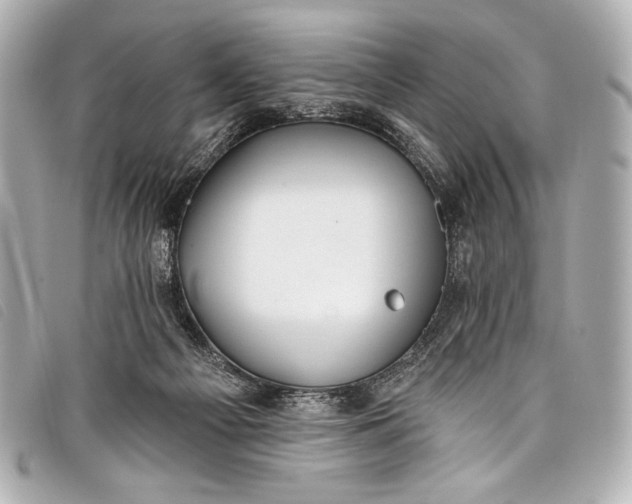 X0000098110121200804181502