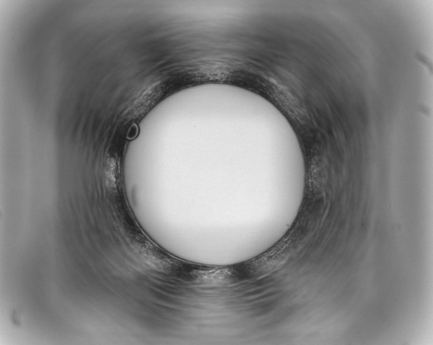 X0000098110122200804181502