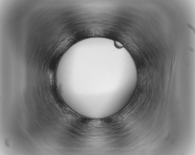 X0000098110123200804181502