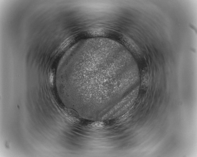 X0000098110124200804181502