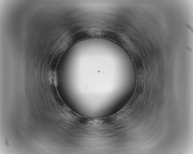 X0000098110125200804181502