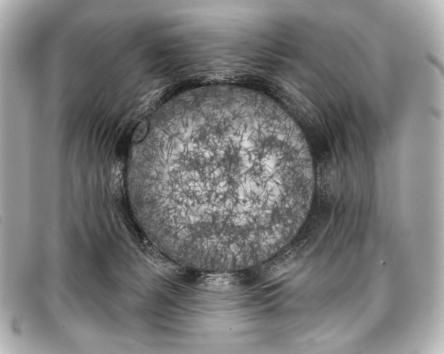 X0000098110127200804181502