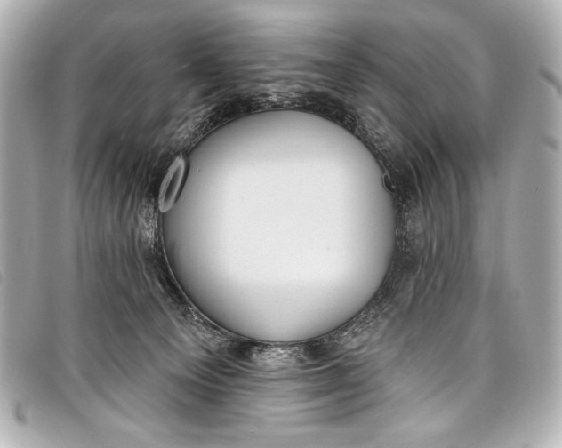 X0000098110129200804181502