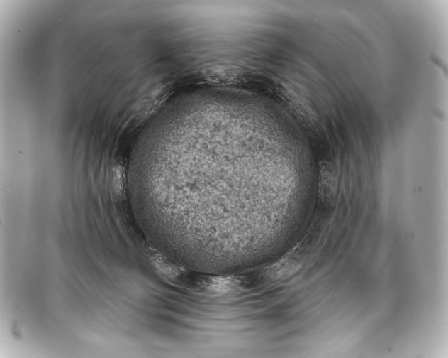 X0000098110130200804181502