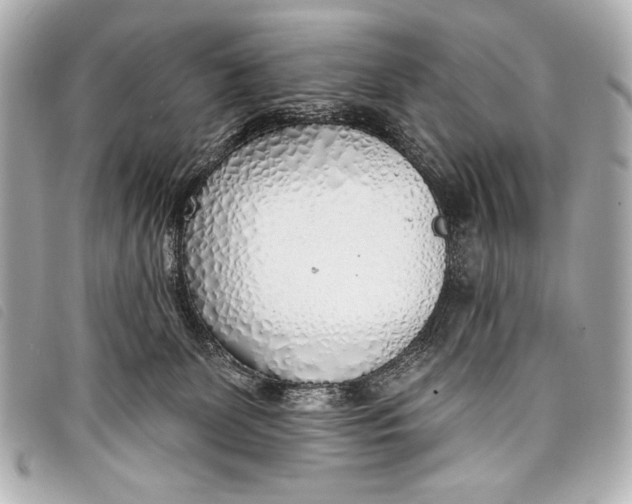 X0000098110131200804181502