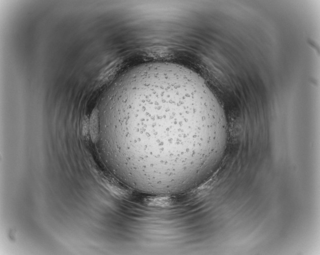 X0000098110132200804181502