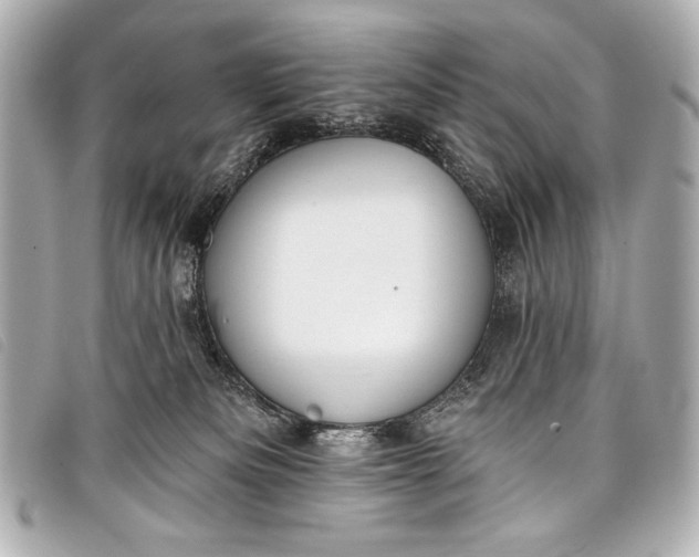 X0000098110133200804181502