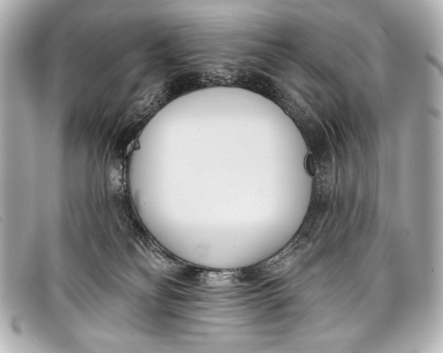 X0000098110134200804181502