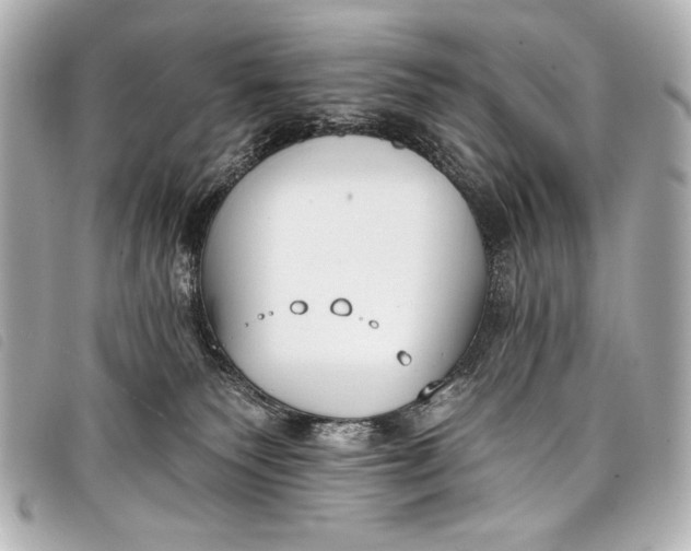 X0000098110135200804181502