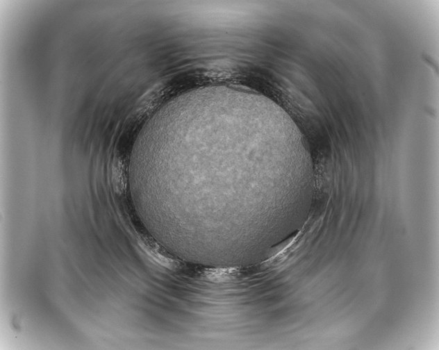 X0000098110136200804181502