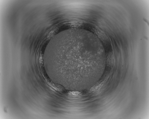 X0000098110137200804181502