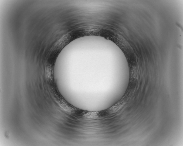 X0000098110138200804181502