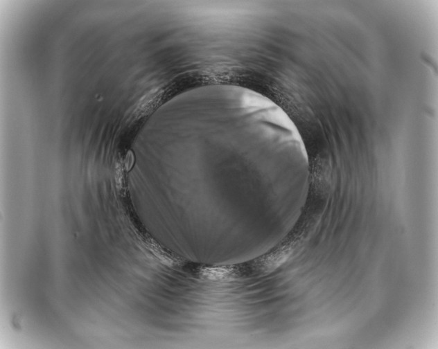 X0000098110139200804181502