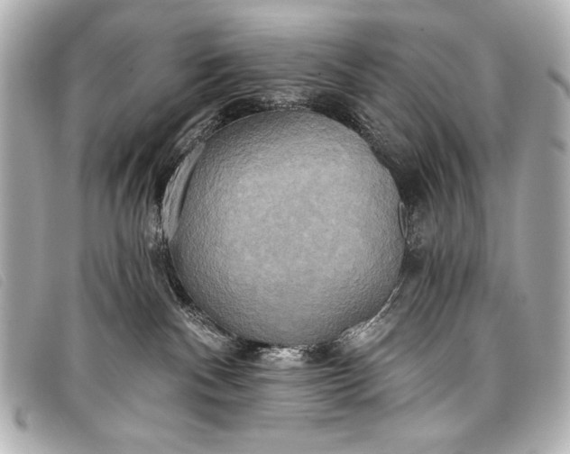 X0000098110140200804181502