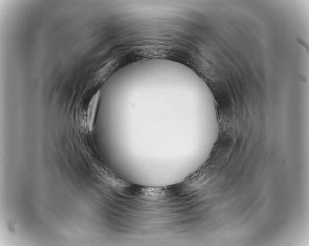 X0000098110141200804181502