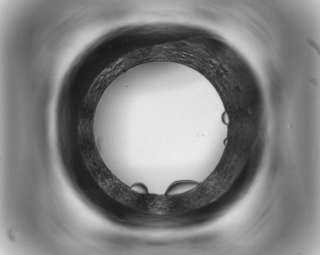 X0000098110142200804181502