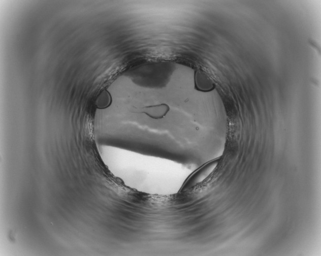 X0000098110143200804181502