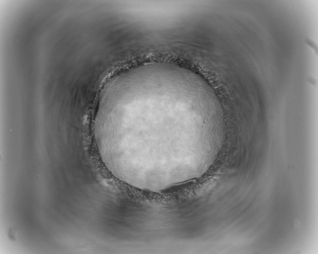 X0000098110144200804181502