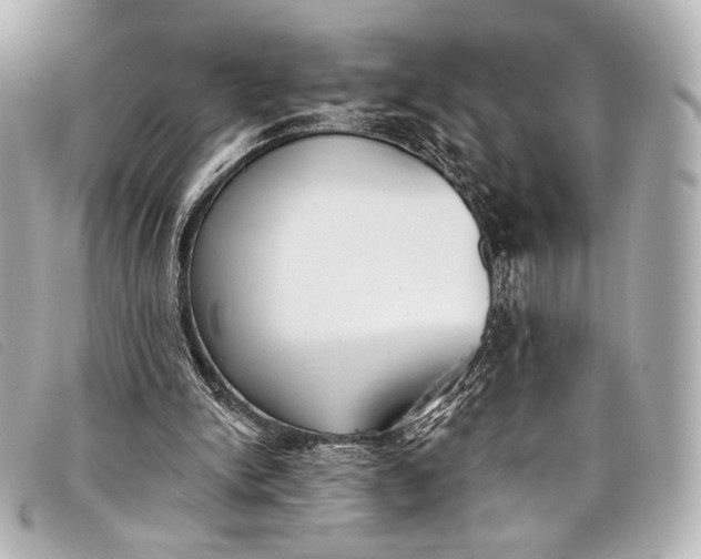 X0000098110150200804181501