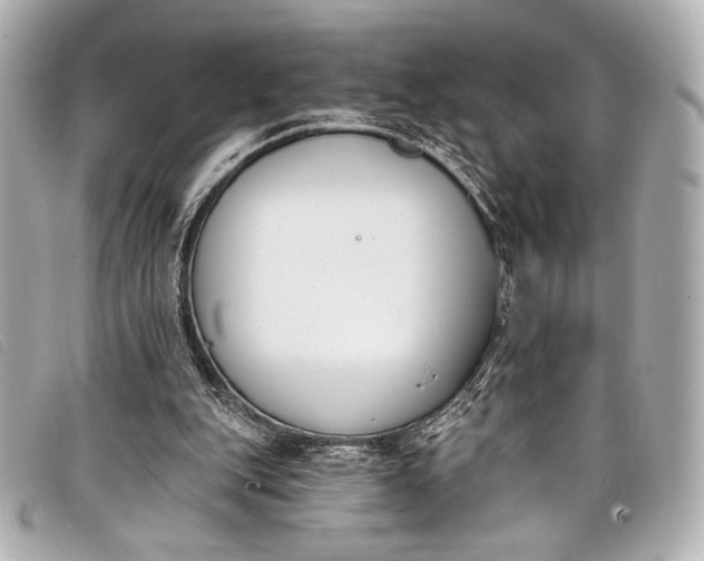 X0000098110151200804181501