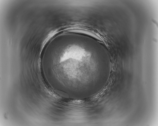 X0000098110152200804181501