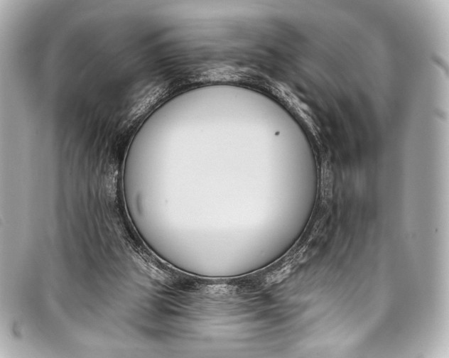 X0000098110153200804181501