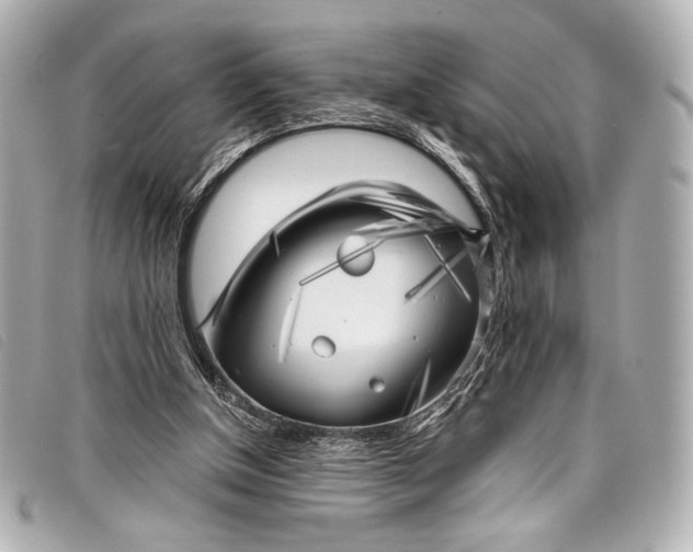 X0000098110154200804181501