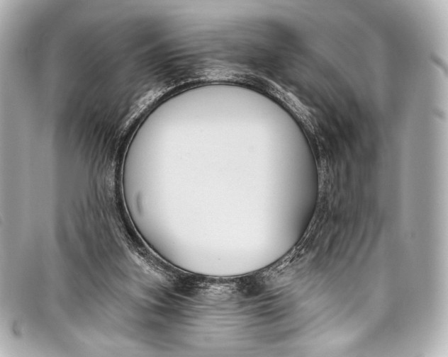 X0000098110155200804181501