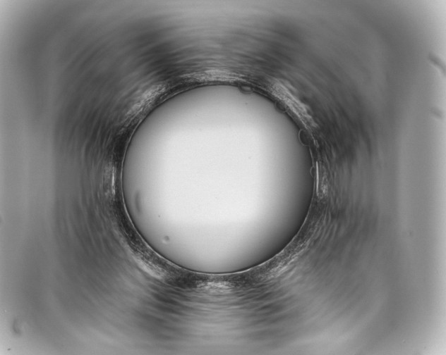 X0000098110157200804181502