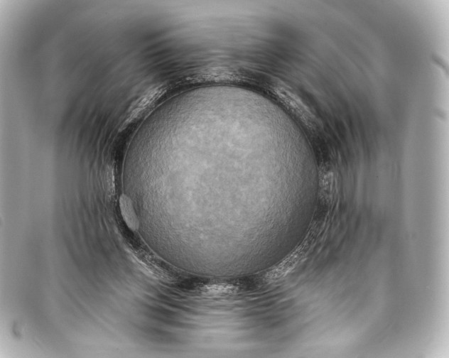 X0000098110158200804181502