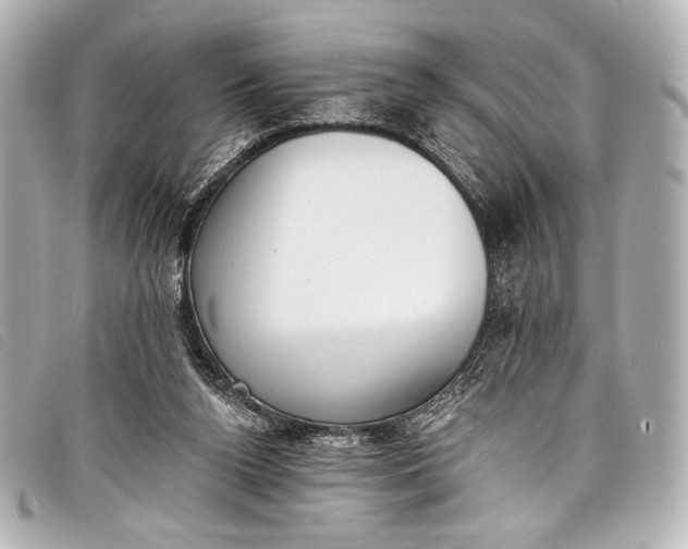 X0000098110160200804181502