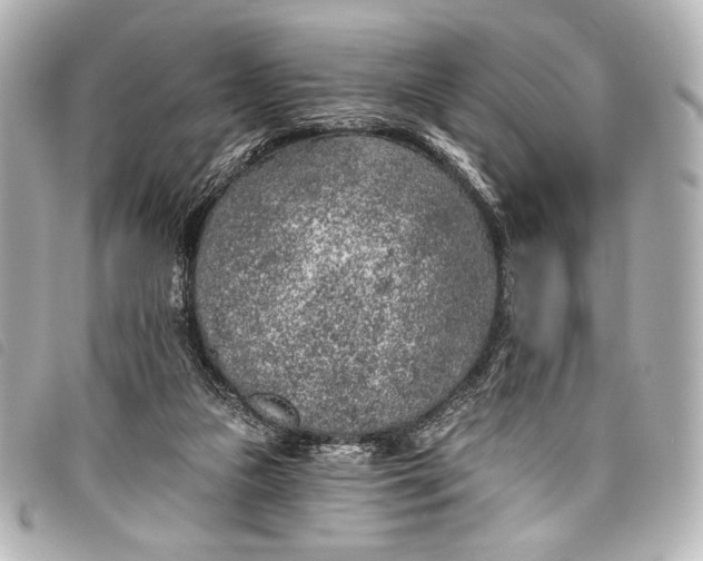 X0000098110161200804181502