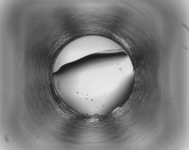 X0000098110162200804181502