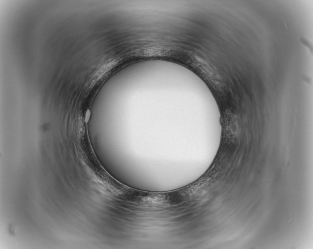 X0000098110164200804181502