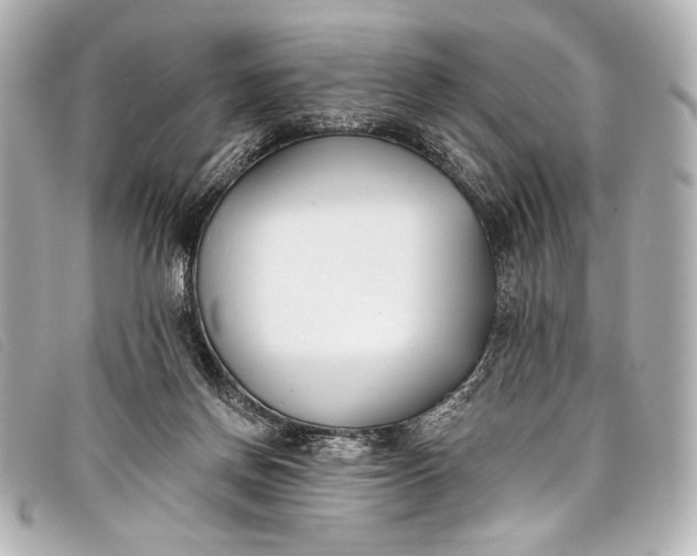 X0000098110166200804181502