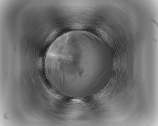 X0000098110167200804181502