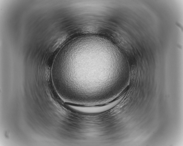 X0000098110168200804181502